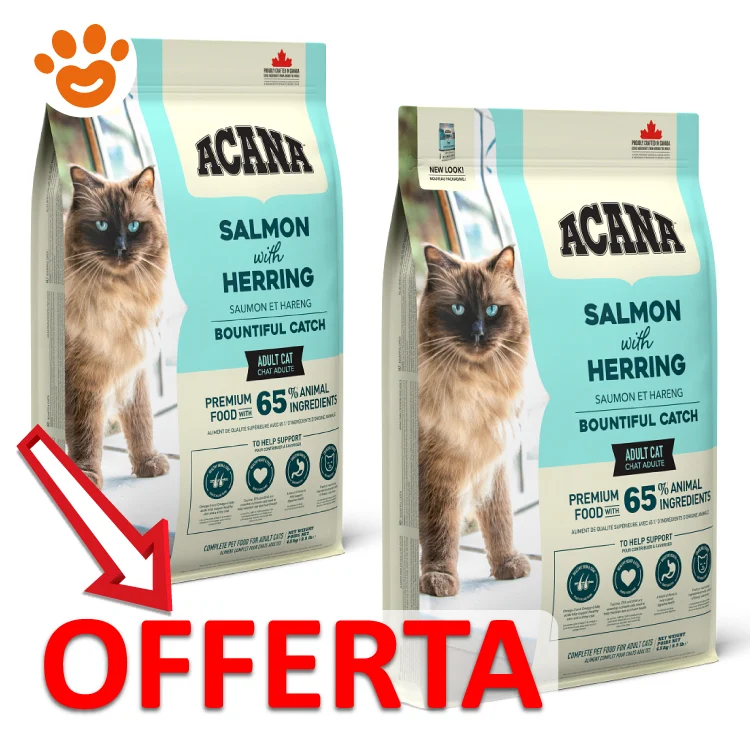 Acana Cat Bountiful Catch Salmone e Aringa - Image 2