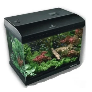 Acquario Mirabello