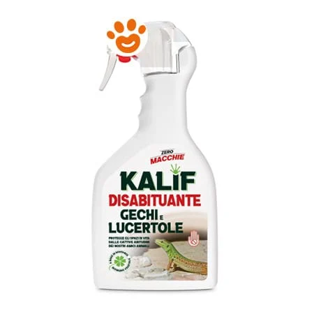 Adama Kalif Disabituante Gechi e Lucertole