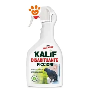 Adama Kalif Disabituante Piccioni