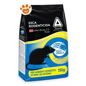 Adama Kollant Brody Pasta Blu