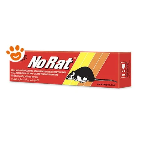 Adama No Rat