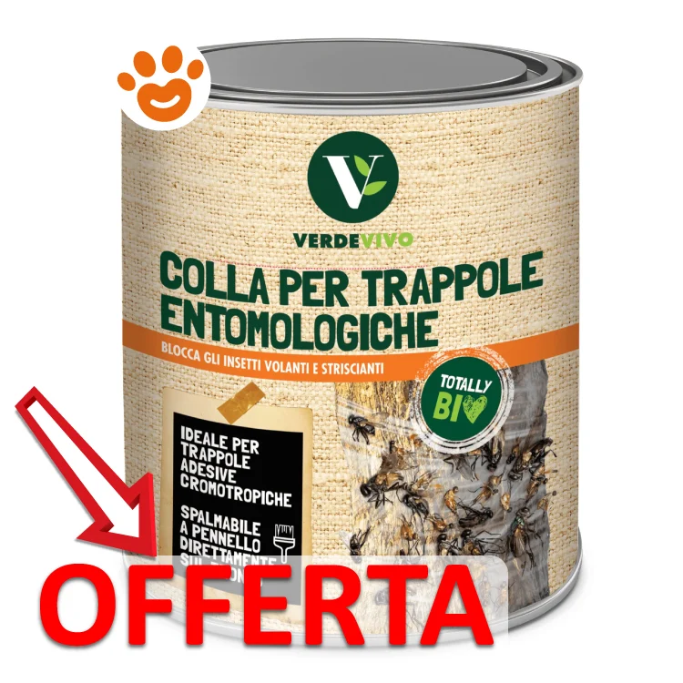 Adama VerdeVivo Colla per Trappole Entomologiche - Image 2
