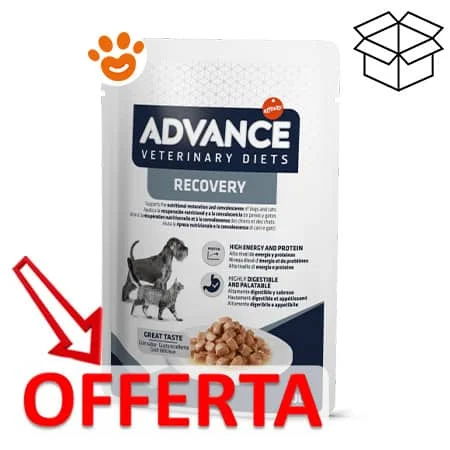 Advance Dog Veterinary Diets Recovery - Image 2