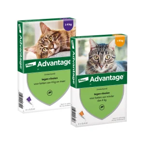 Advantage Gatto