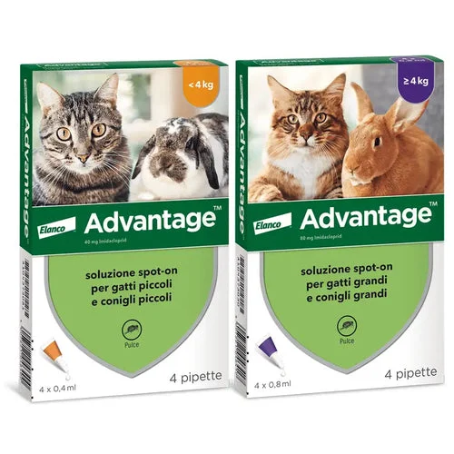 Advantage Spot On gatti 4 pipette