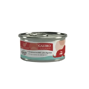 Æquilibriavet GASTRO