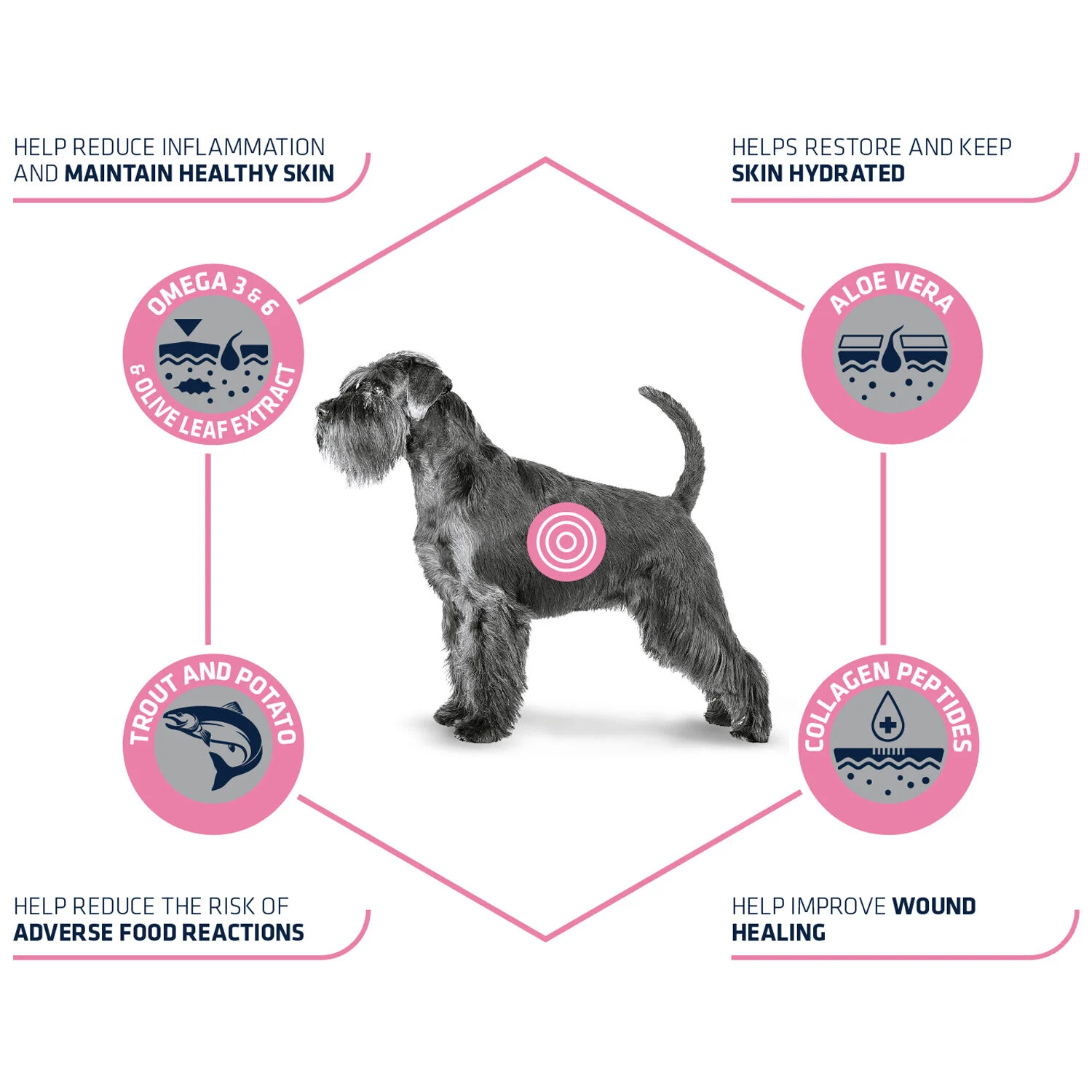Affinity Advance Veterinary Diets Atopic Cane - Image 2