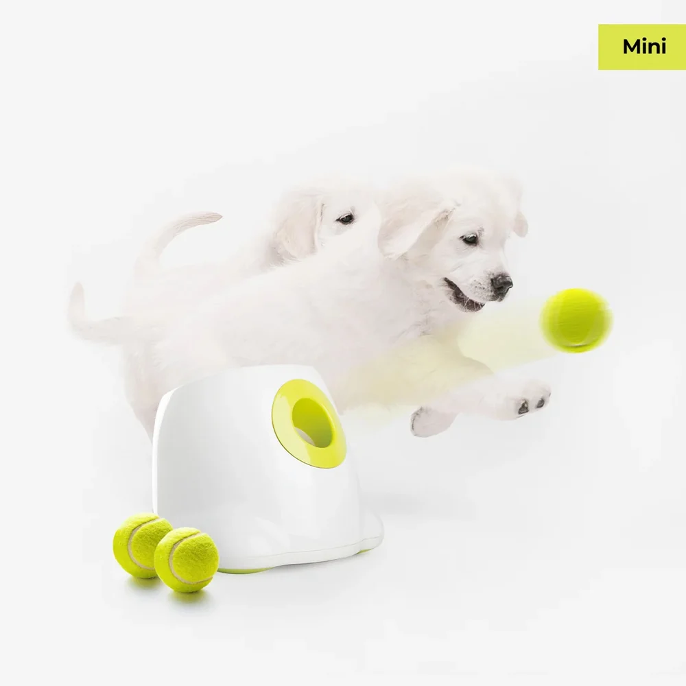 AFP Automatic Ball Launcher Mini - Image 2