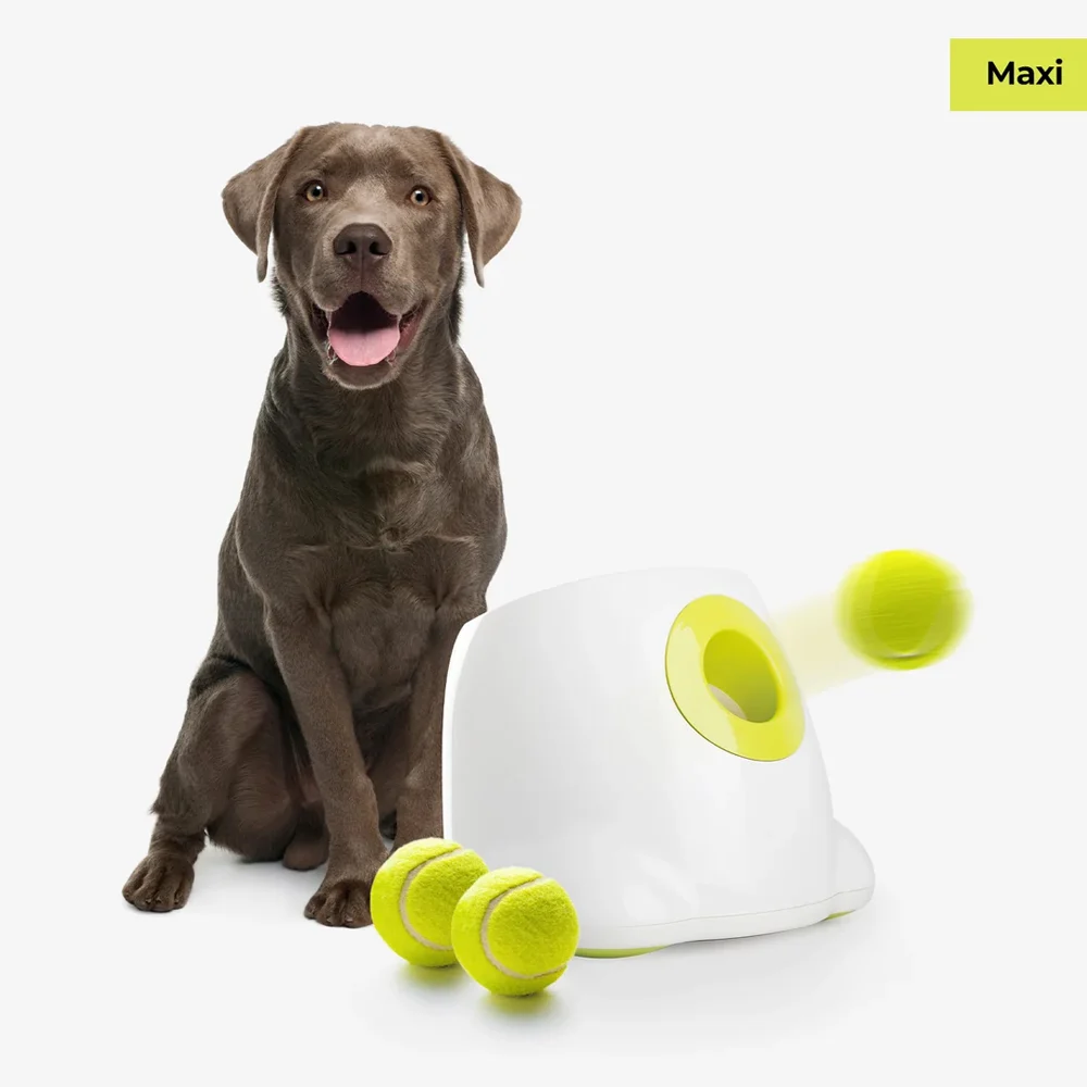 AFP Interactive Automatic Ball Launcher Maxi - Image 2