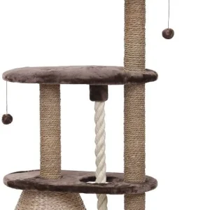 ALBERO DEL GATTO DI BARELI