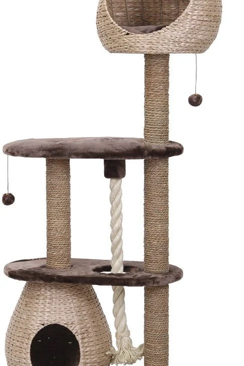 ALBERO DEL GATTO DI BARELI