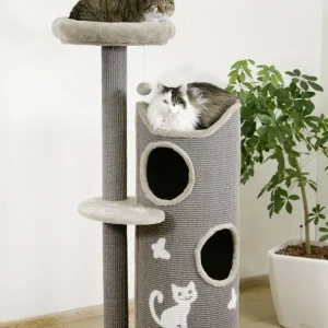 ALBERO DEL GATTO TIANA