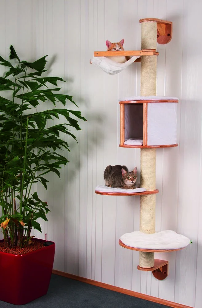 Albero per gatti a parete Dolomit