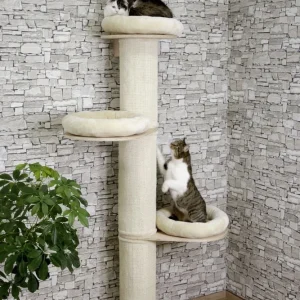 Albero per Gatti Dolomit Tower