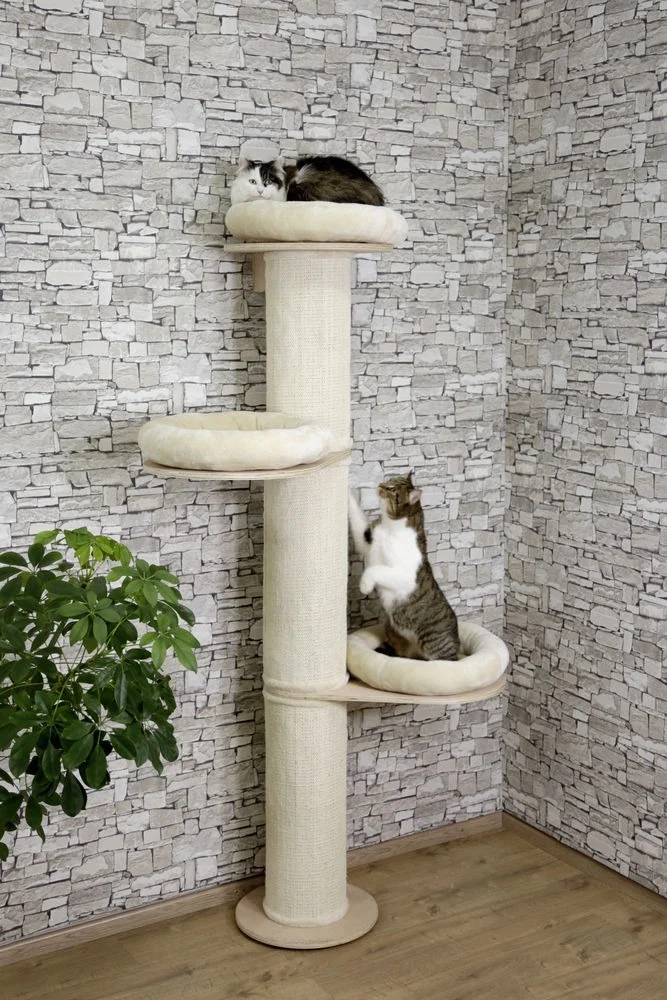 Albero per Gatti Dolomit Tower