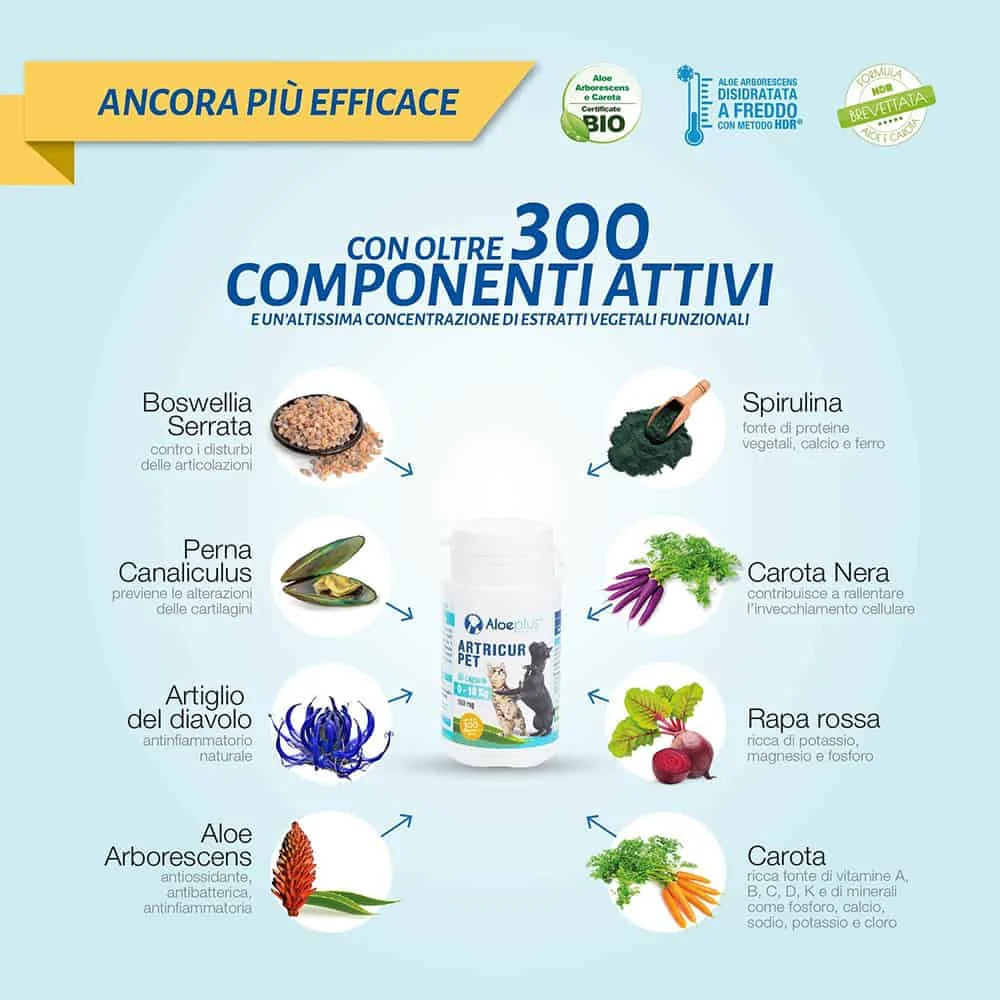 Aleoplus Dog&Cat Artricur Pet (0-10 Kg) - Image 2
