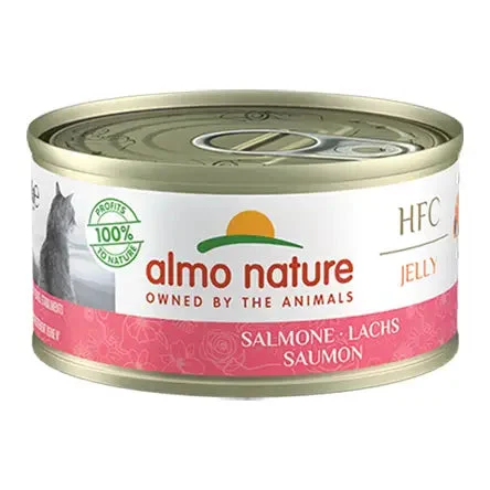 Almo Nature HFC cat Salmone jelly