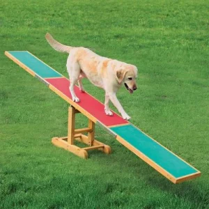 Altalena Trixie Agility