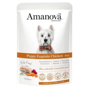 AMANOVA Cane Patè Puppy al Pollo 100gr