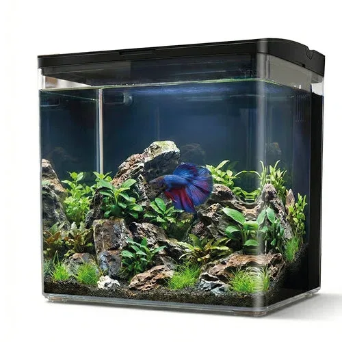 AQPet Neya acquario in plastica da scrivania 20x15x20