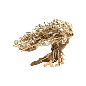 Aqpet Zen Bonsai Romantic Legno Naturale Per Arredo In Acquario