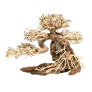 Aqpet Zen Bonsai Wood Legno Naturale Per Arredo In Acquario