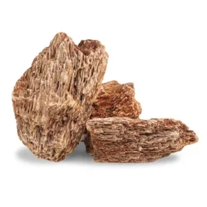 AqPet Zen Stone Red Wood Fossil 1kg – Roccia Naturale NON Calcarea Aquascaping