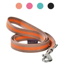 Arlequin: guinzaglio per cane Bobby