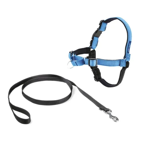 Blu Oceano: pettorina per cane Easy Walk Deluxe