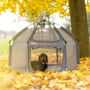 Box cani small con tappetino e copertura color antracite