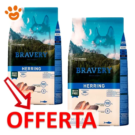 Bravery Dog Adult Medium Large Aringa - Image 2