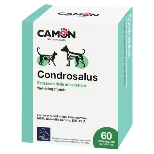 CAMON Condrosalus 60 cpr