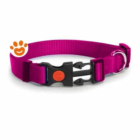 Camon Dog Collare a Sgancio Regolabile (25 mm) - Image 2