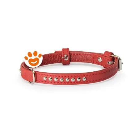 Camon Dog Collare Borchie Sfere Rosso (30×600)
