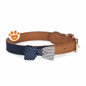 Camon Dog Collare in Cuoio (15×400 mm)