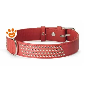 Camon Dog Collare in Pelle Rosso con Borchiette (20×200 mm)