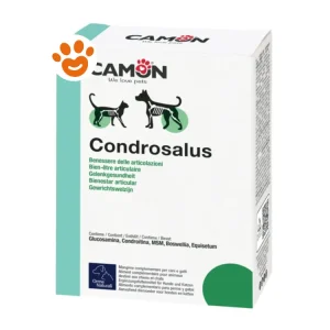 Camon Dog Orme Naturali Condrosalus