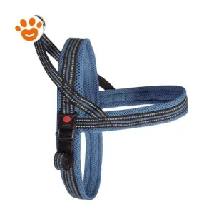 Camon Dog Pettorina Mesh Dynamic Plus