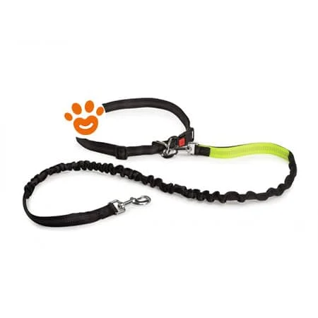 Camon Dog Walrky Running Belt