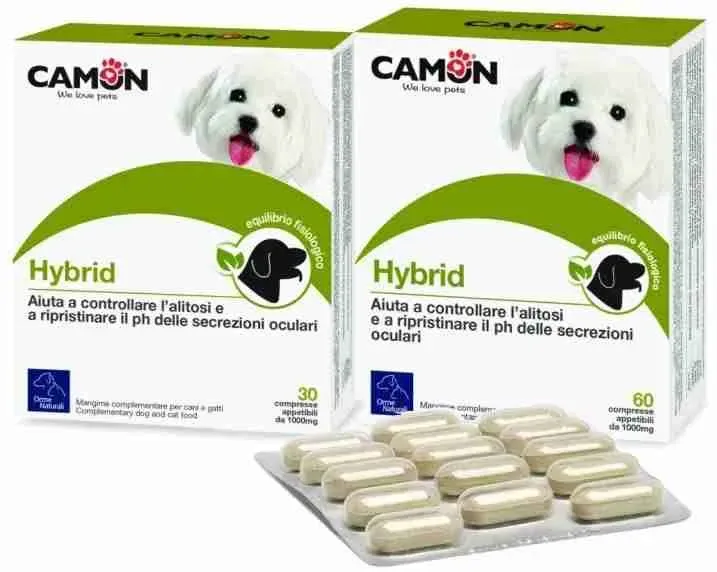 CAMON HYBRID 30 CPR