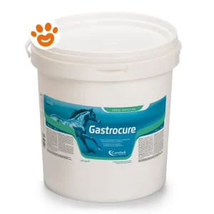 Candioli Horse Gastrocure