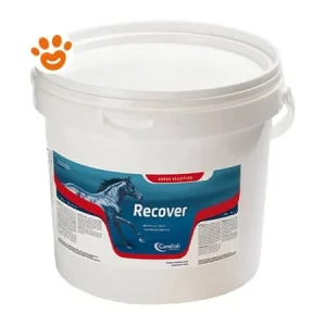 Candioli Horse Recover