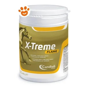 Candioli Horse X-Treme Flame