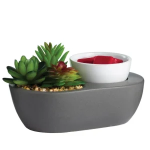Candle Warmer`S Succulent Art Scents Wax Warmer
