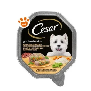 Cesar Dog Selezioni dell’Orto con Pollo e Carotine in Patè