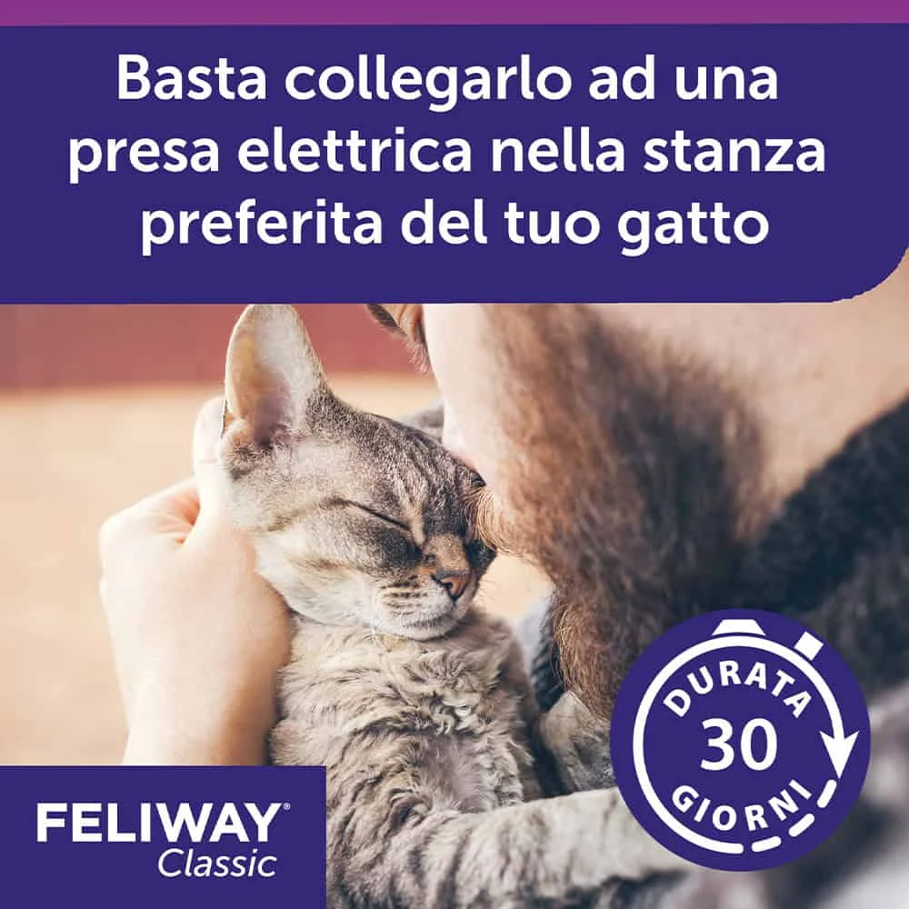 Ceva Cat Feliway Classic Happy Spray - Image 2