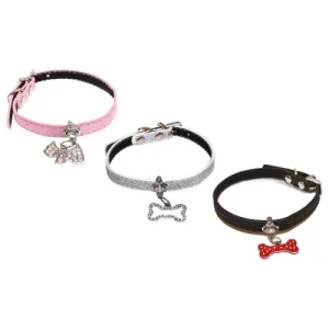 Charm: collare per cane