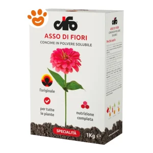 Cifo Asso di Fiori