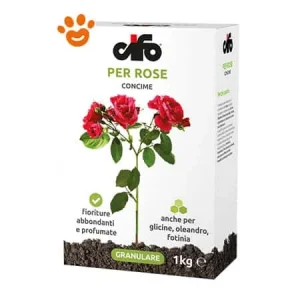 Cifo Concime Granulare Per Rose